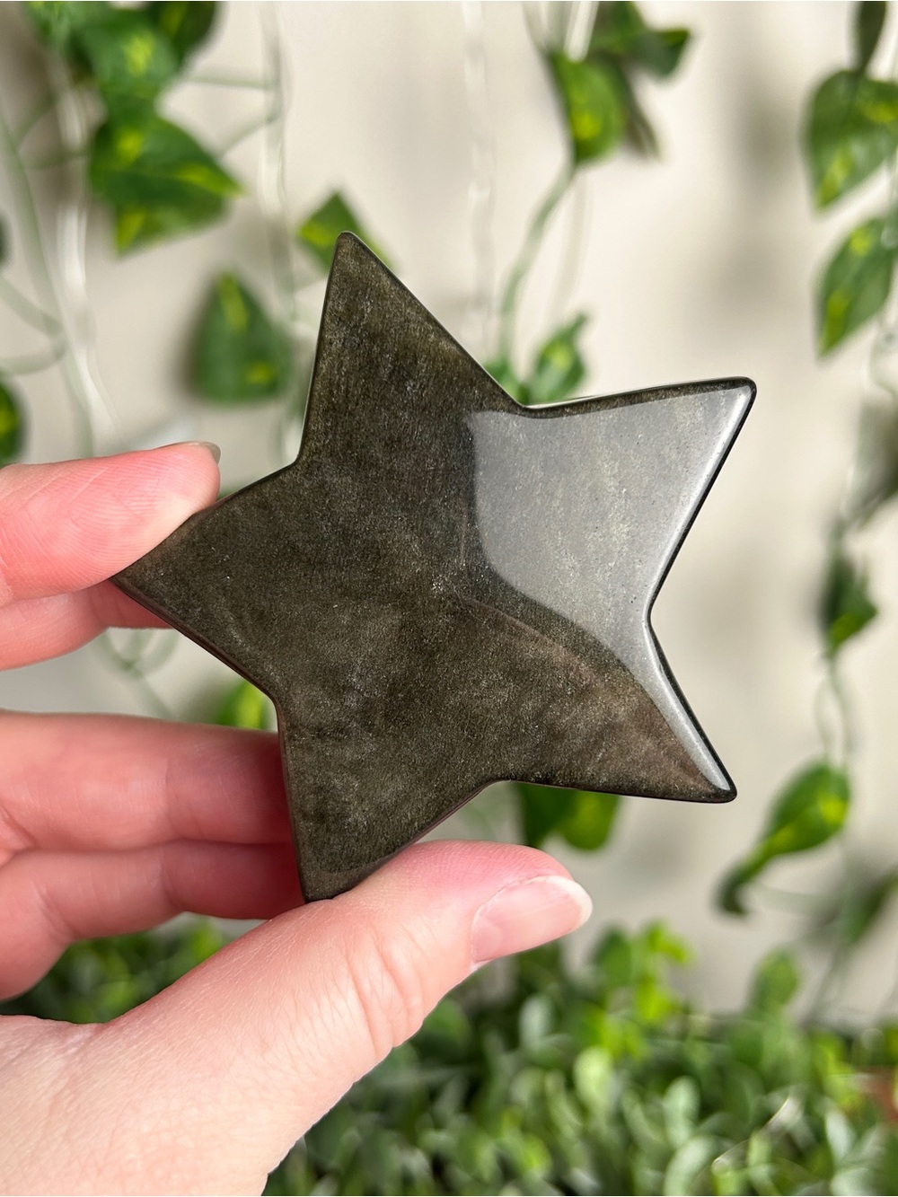 Gold Sheen Obsidian Star C